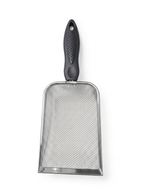 Cat littre SCOOP