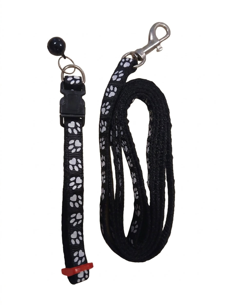 Teacup Collar & Leash