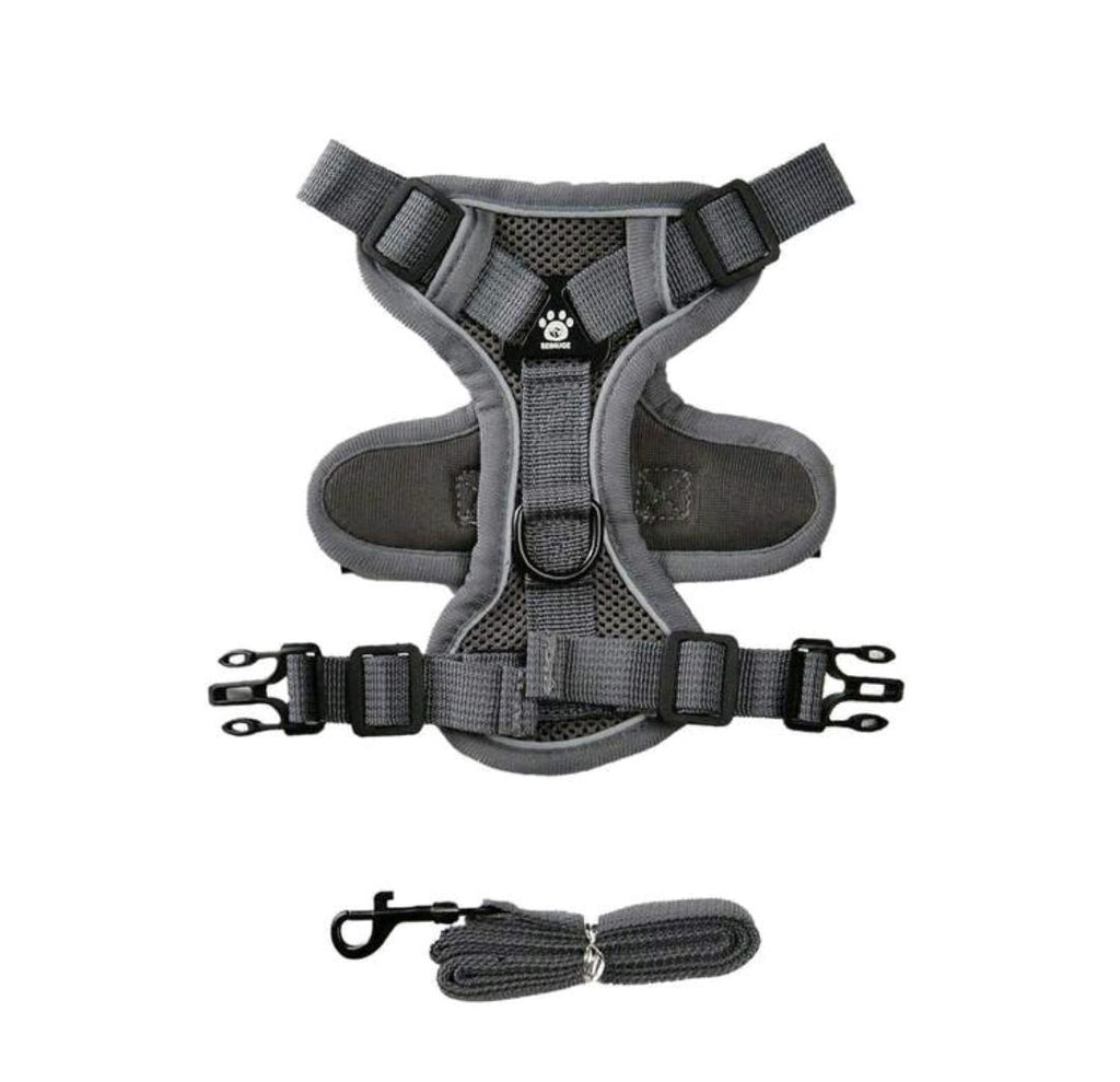 Harness & Leash