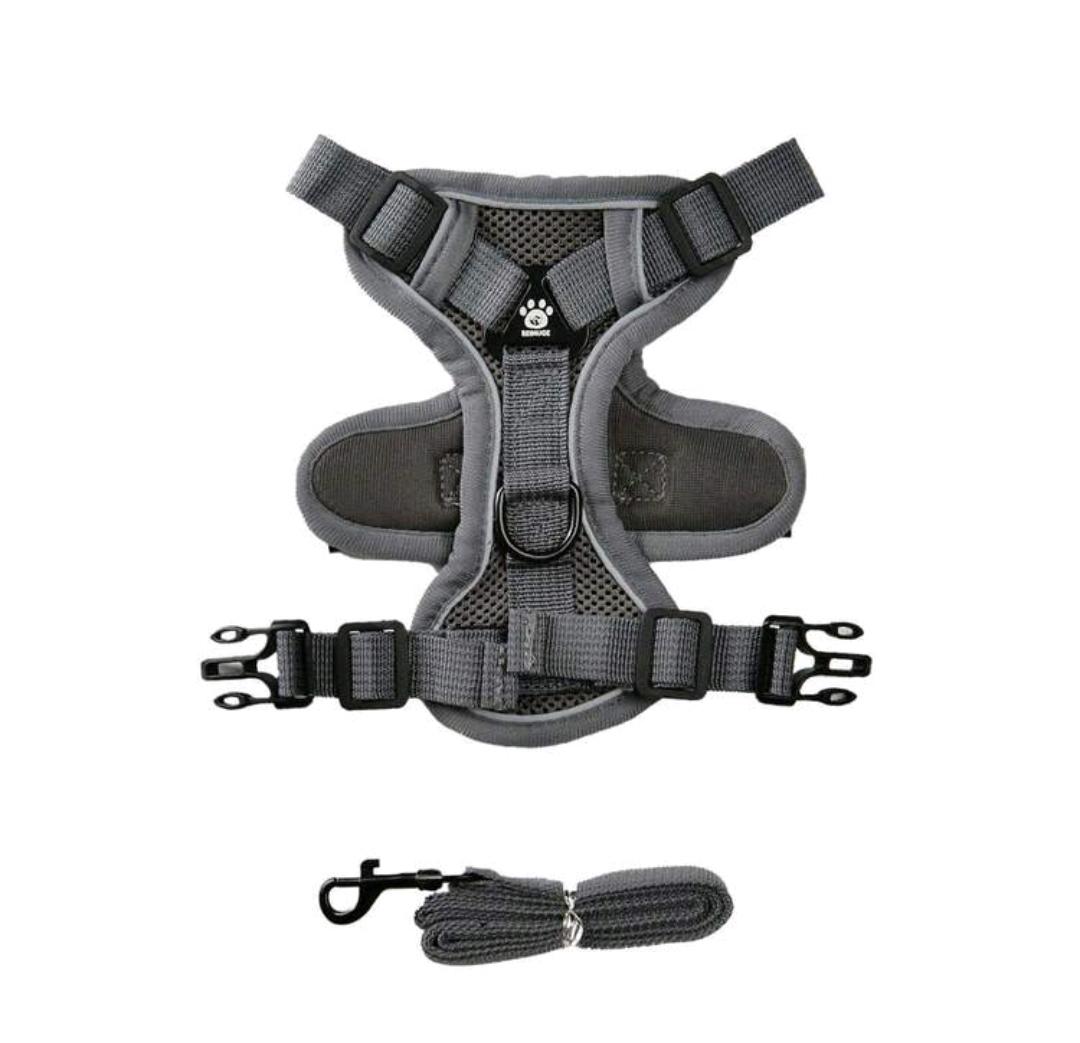 Harness & Leash