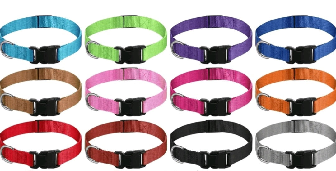 Cat collar