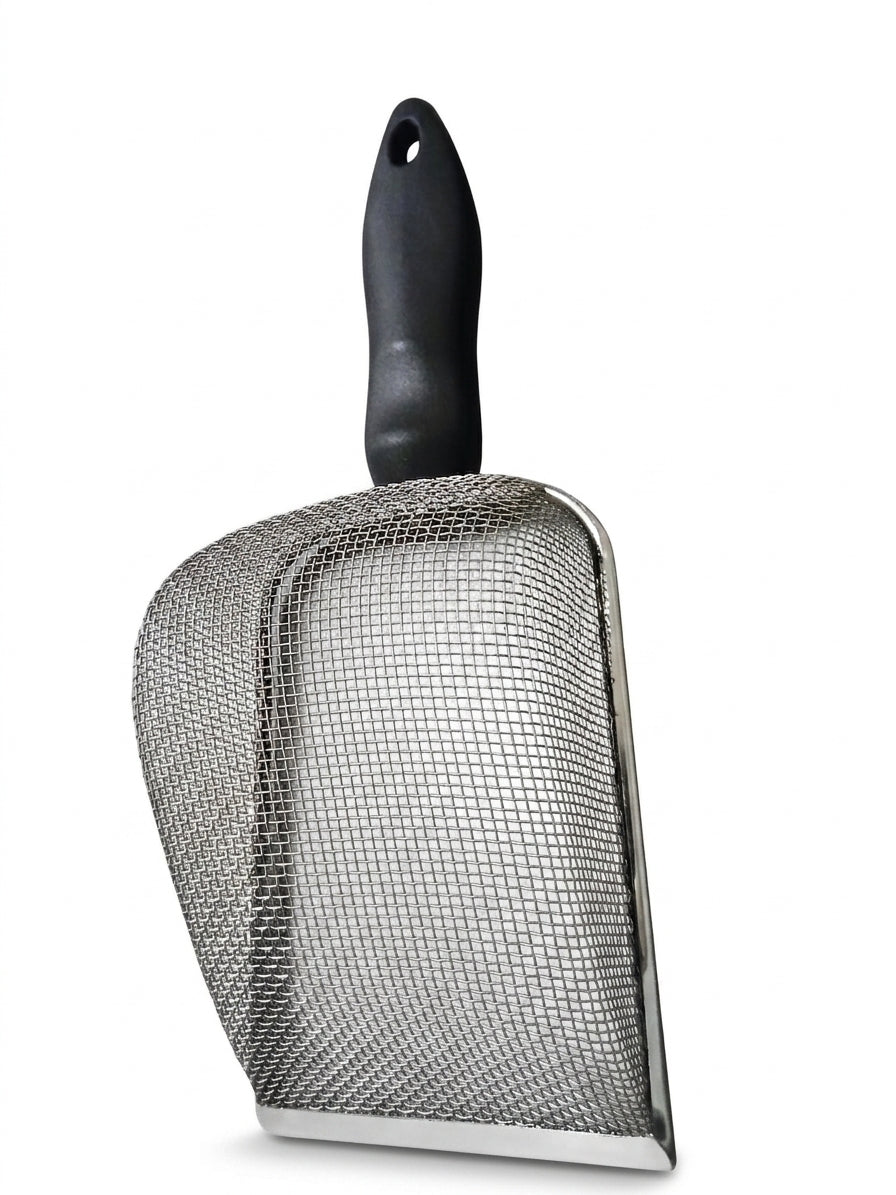 Cat littre SCOOP