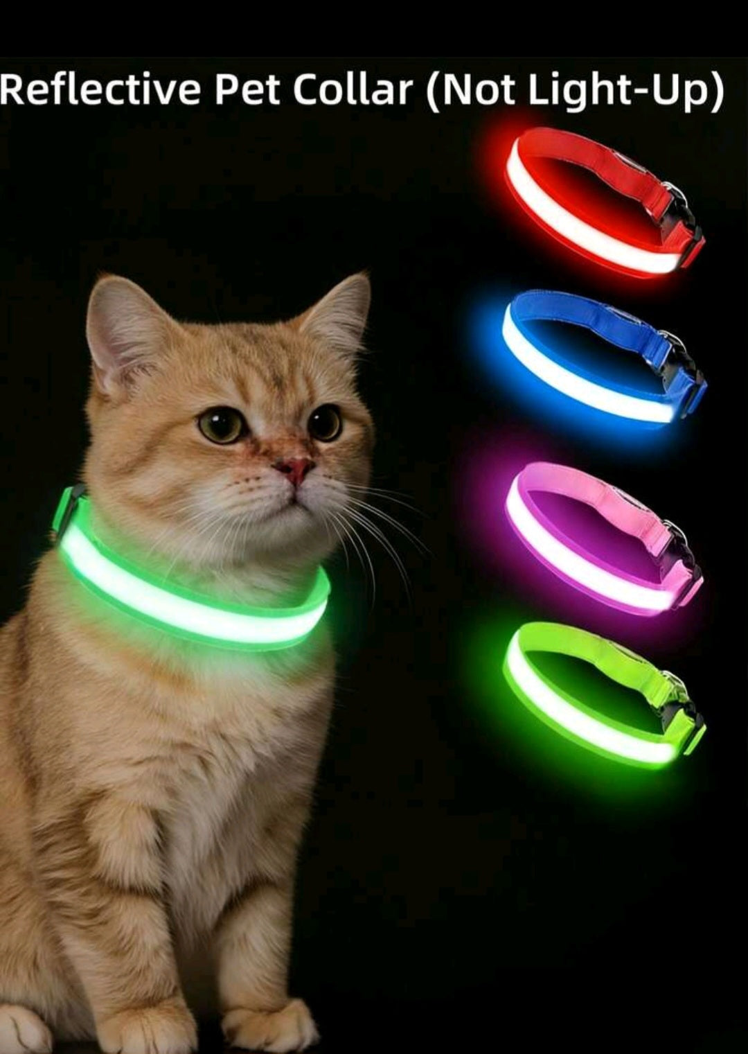 Reflective Cat collar