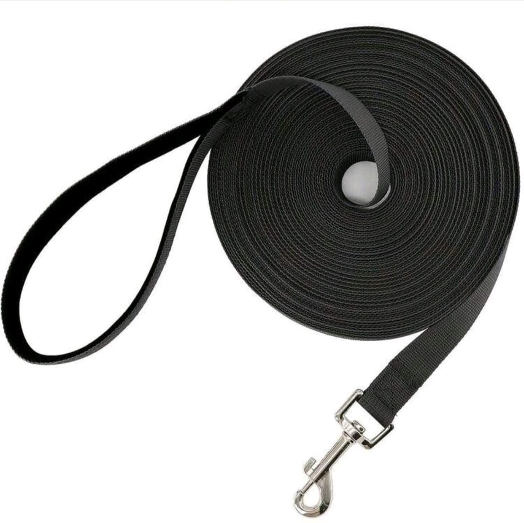 Long Leash