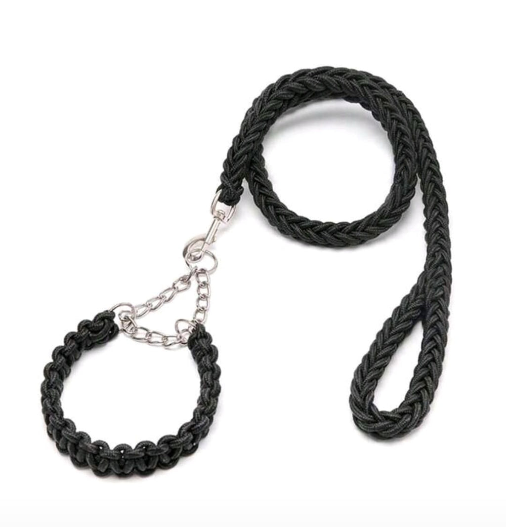 Dog Collar & Leash