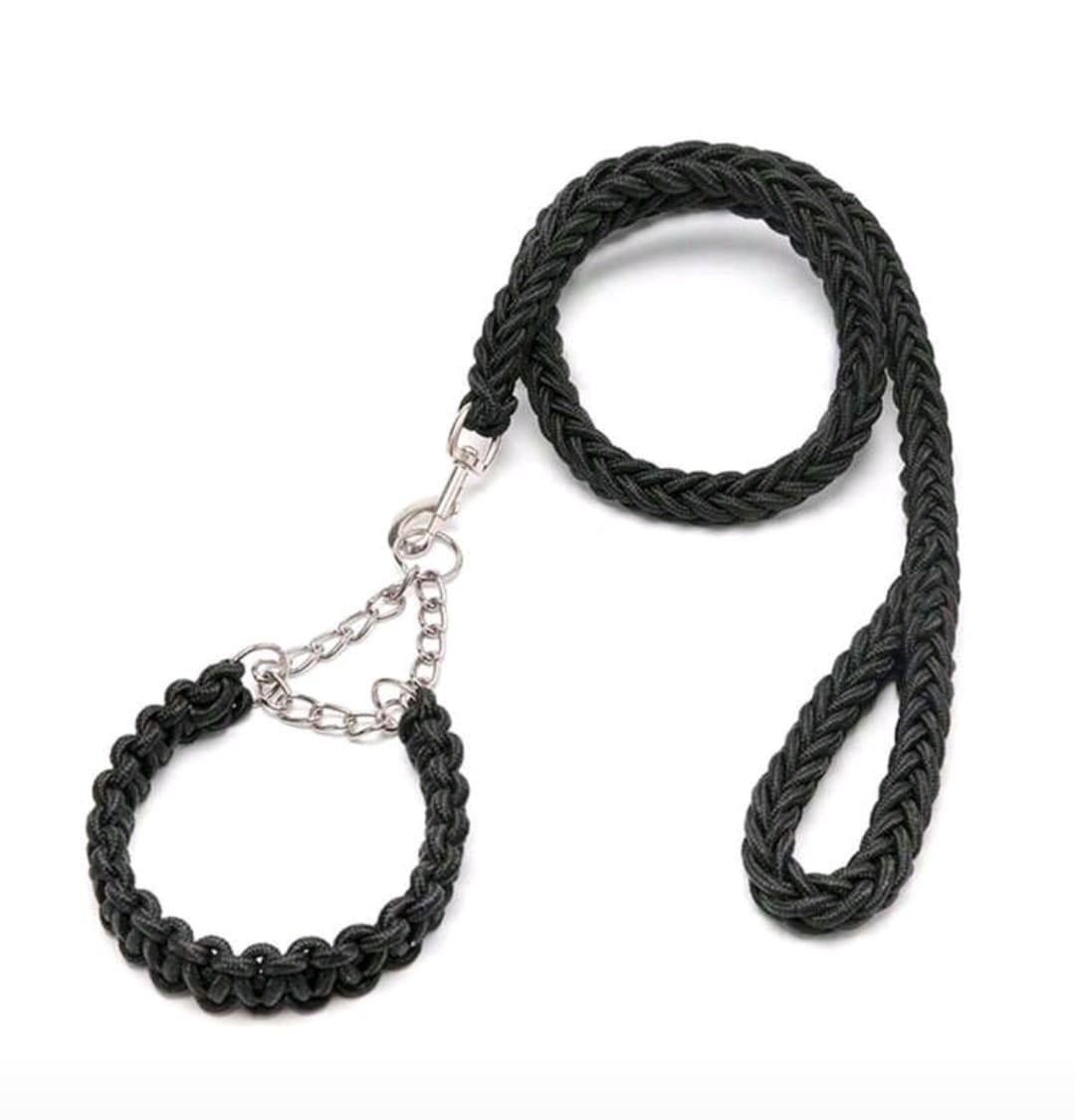 Dog Collar & Leash