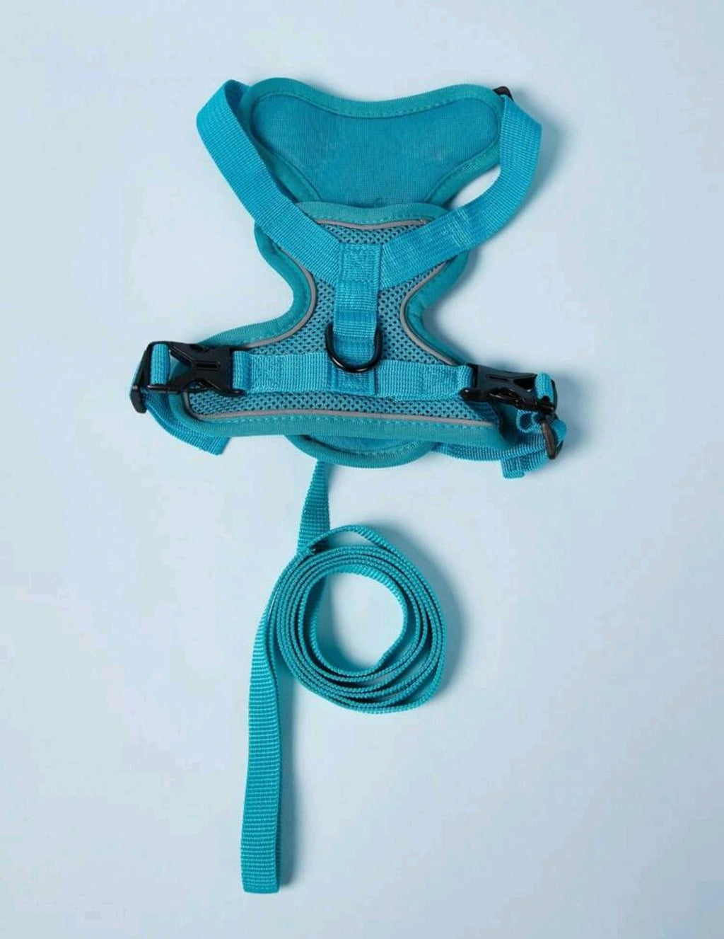 Harness & Leash