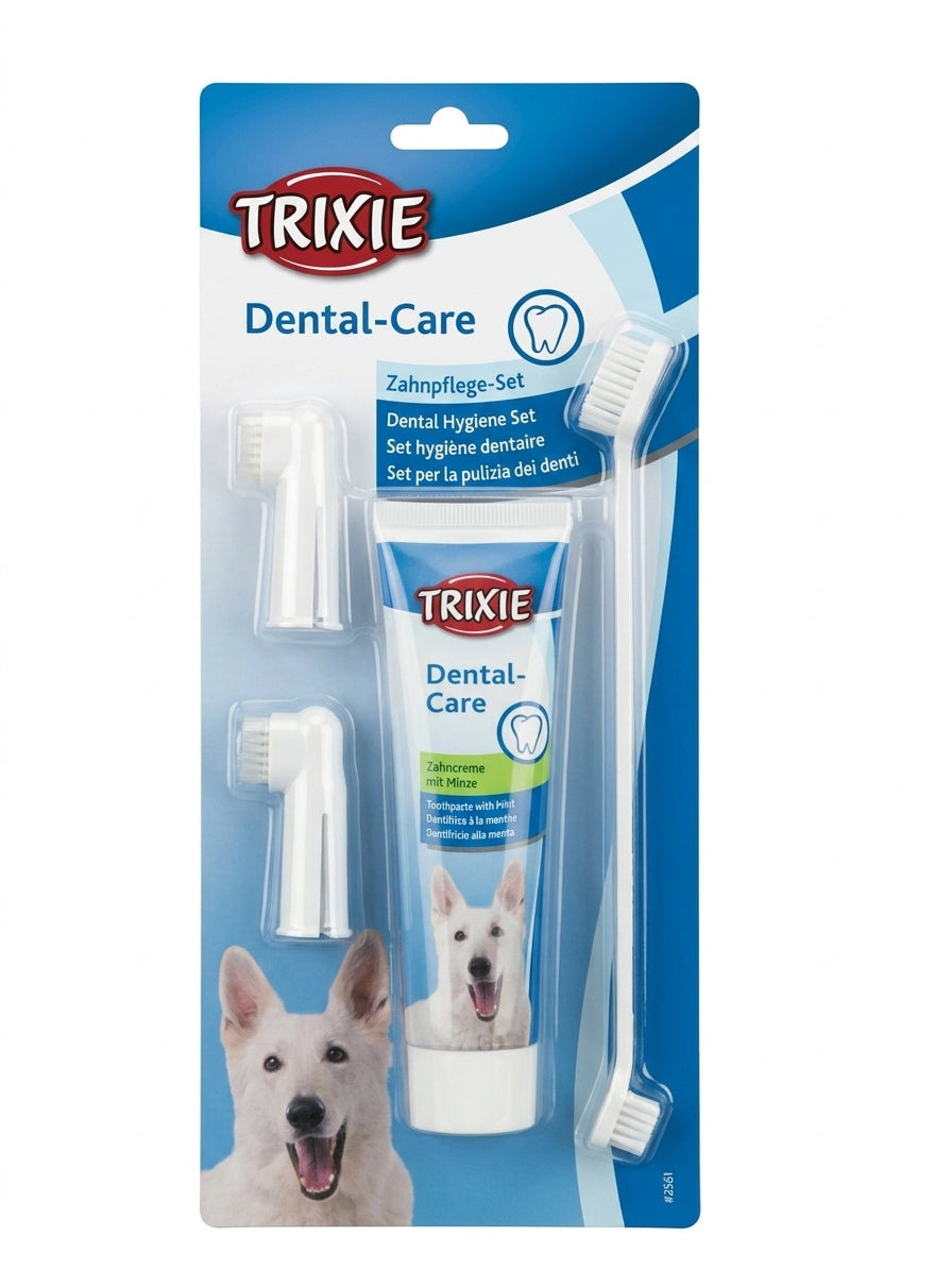 Dental care