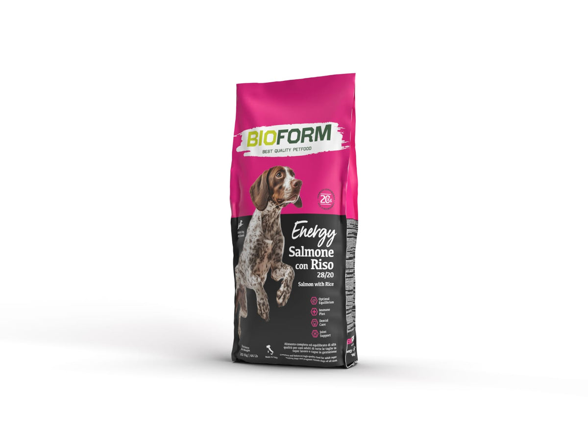 Bio From Best Quality Dog food