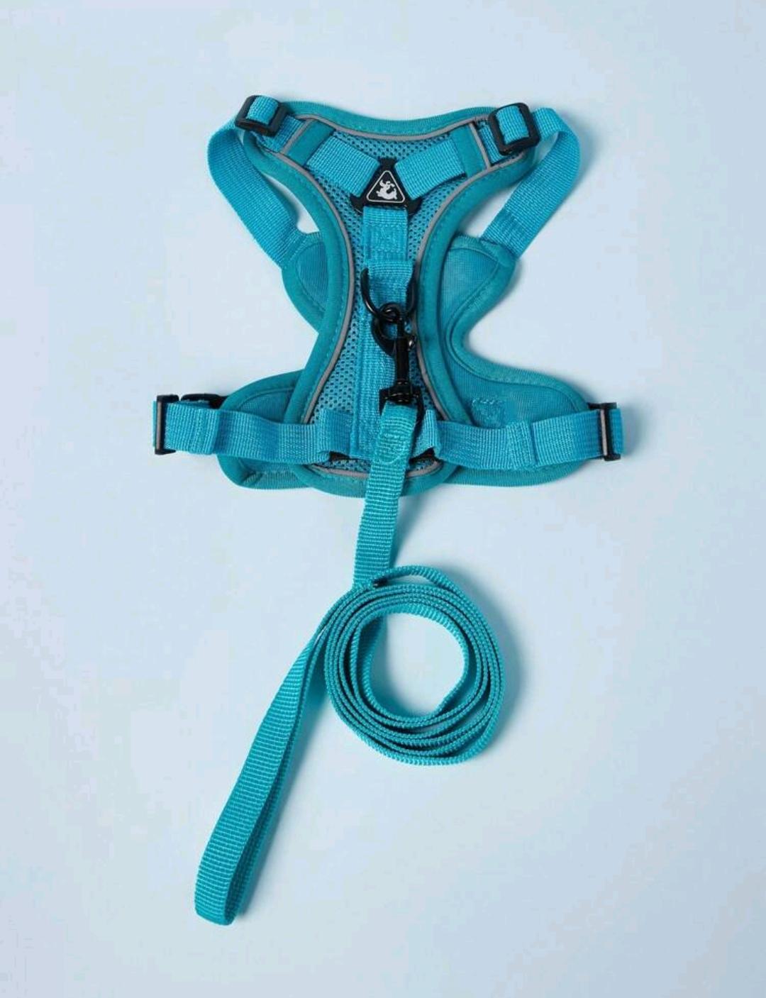 Harness & Leash