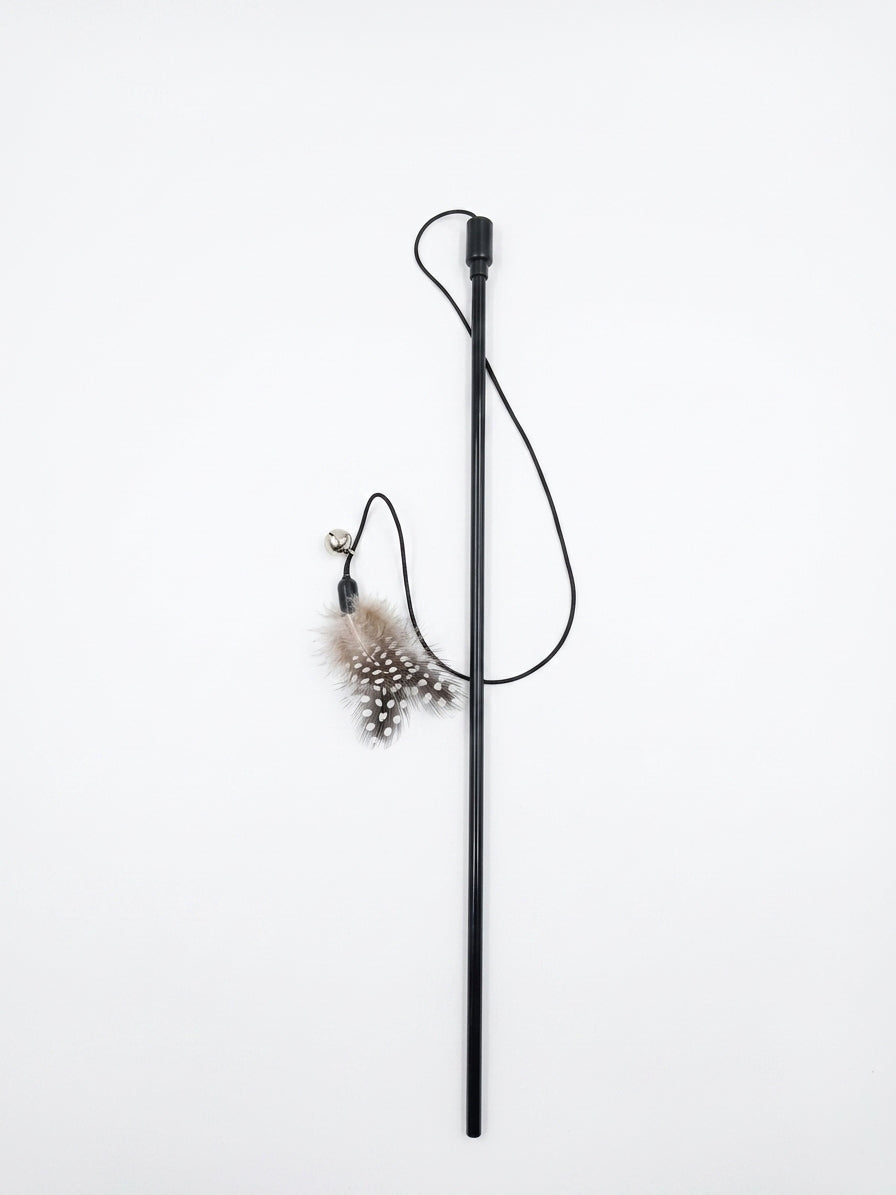 Cat toy