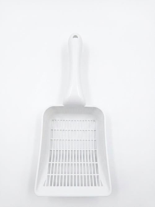 Cat littre scoop