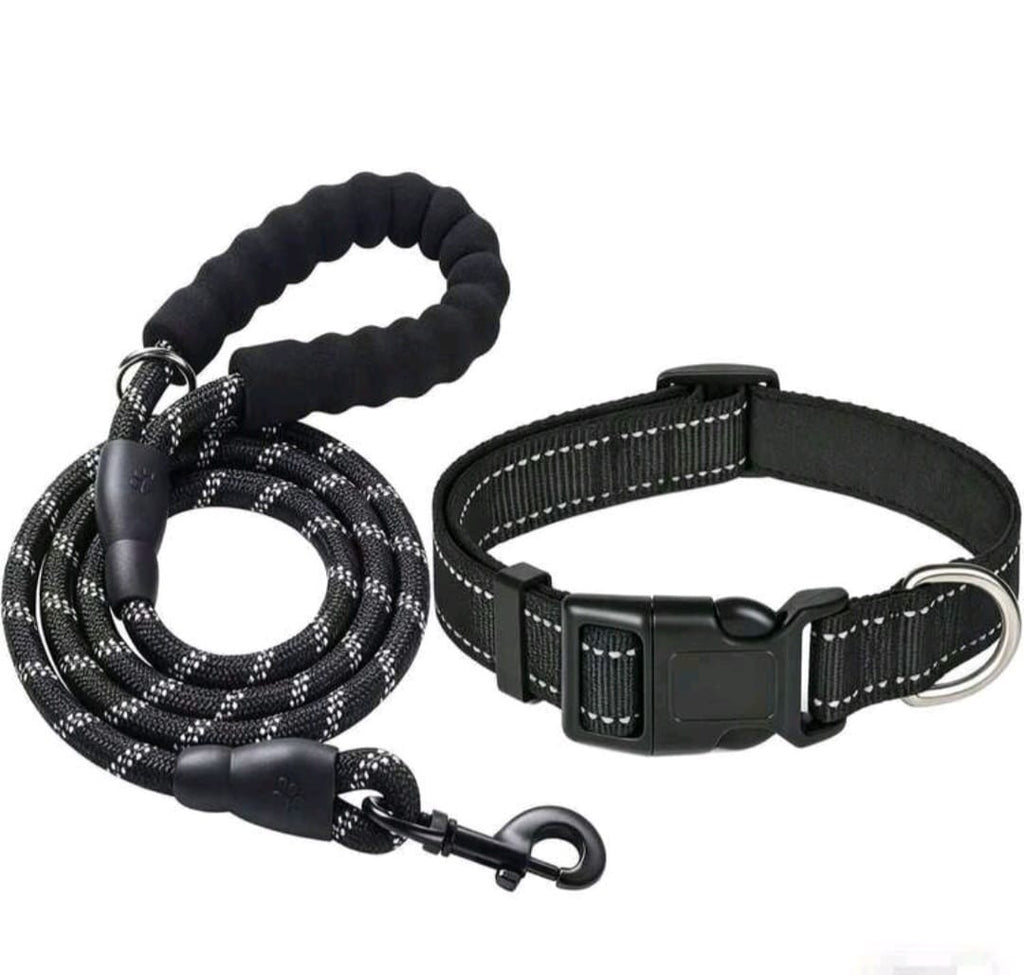 Dog Collar & Leash set