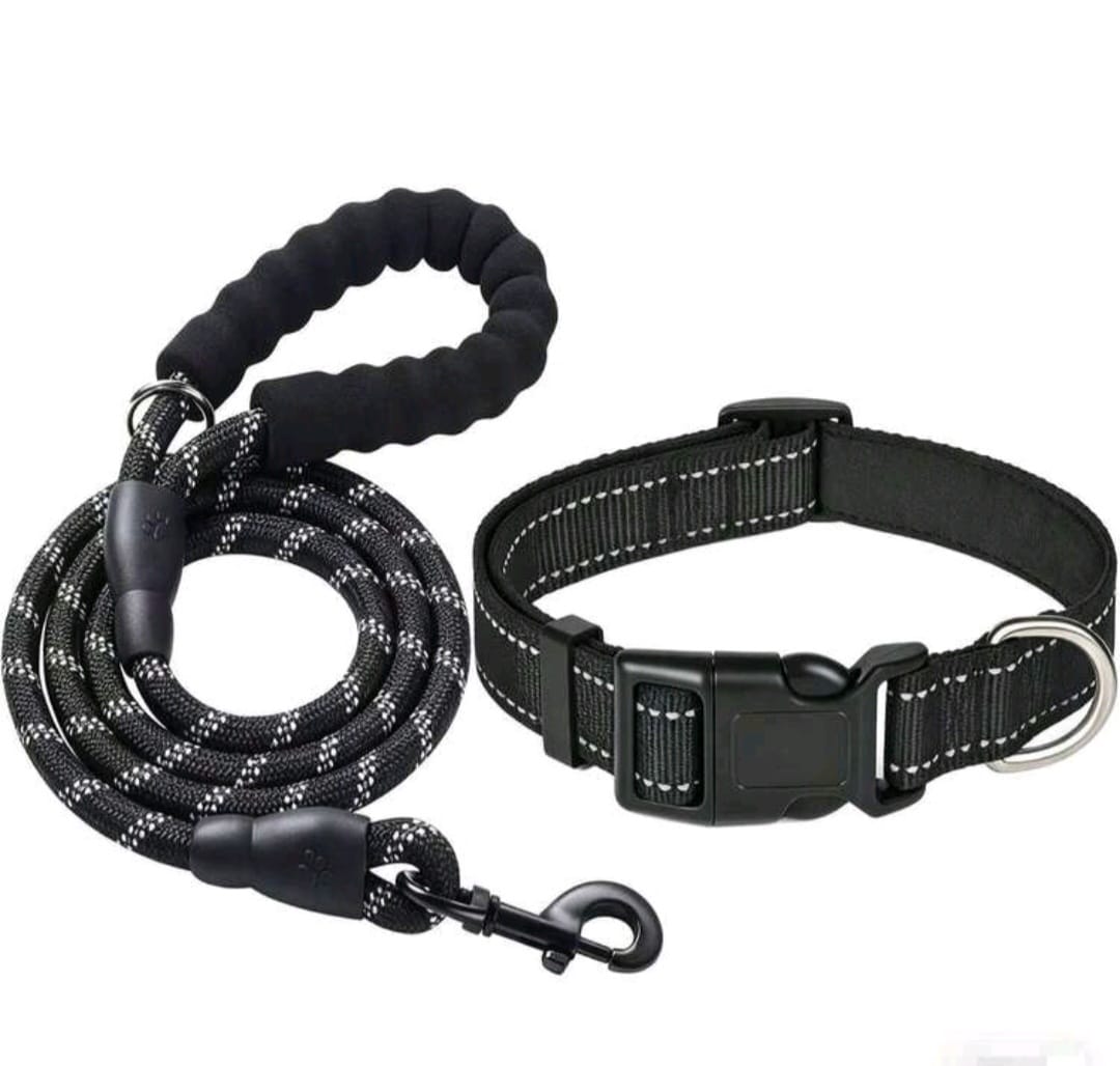 Dog Collar & Leash set