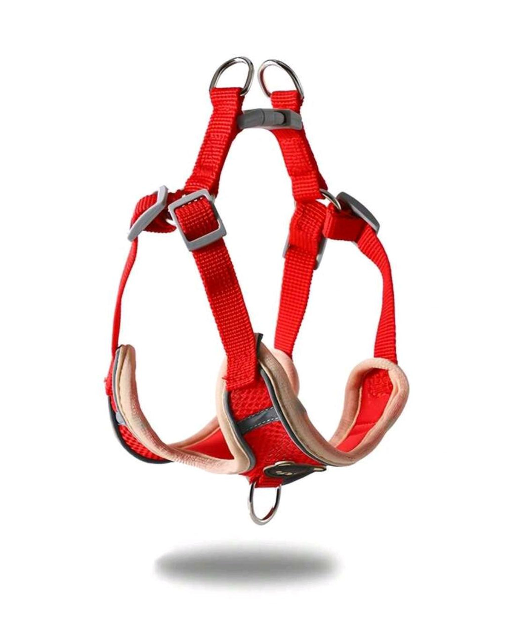 Harness & Leash