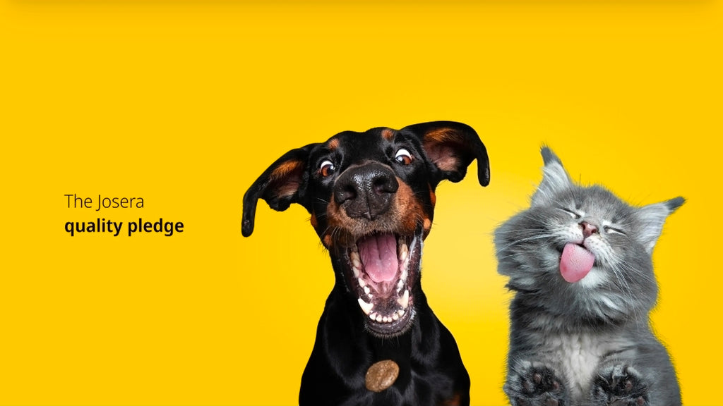 Josera dog food