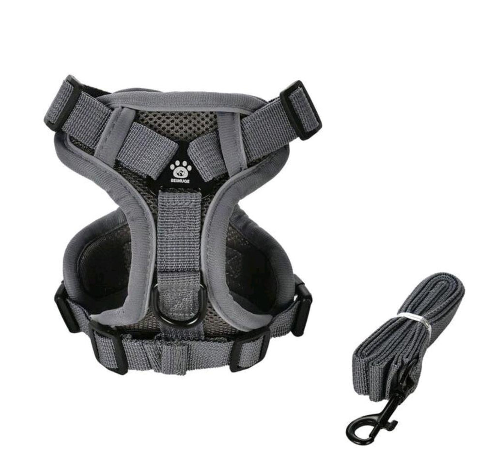 Harness & Leash