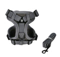 Harness & Leash
