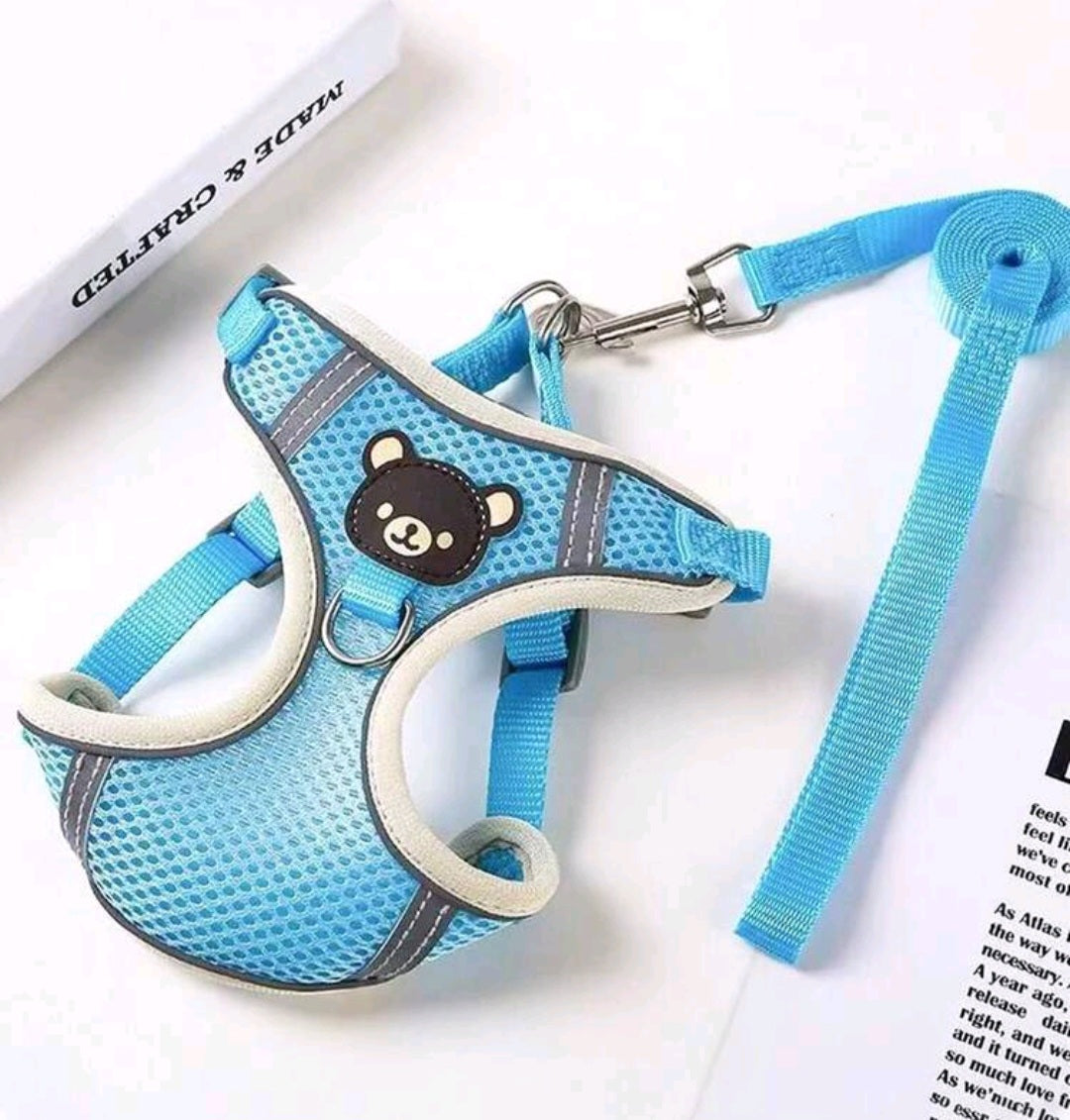 Harness & Leash