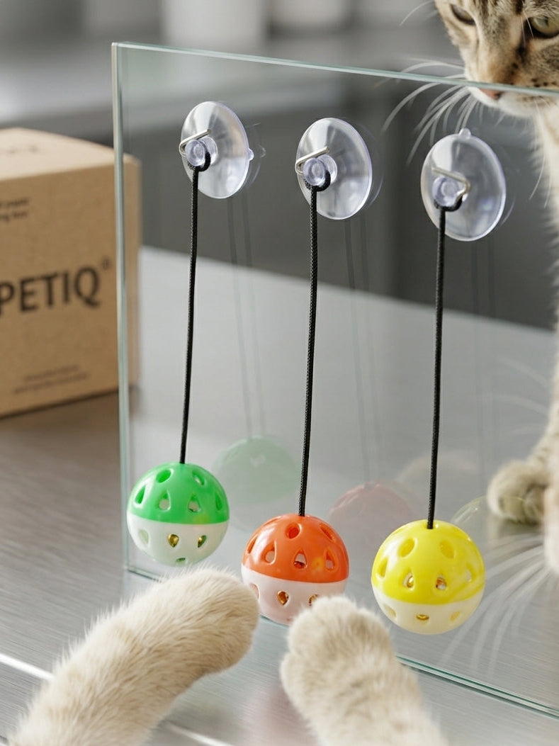 Cat Toy