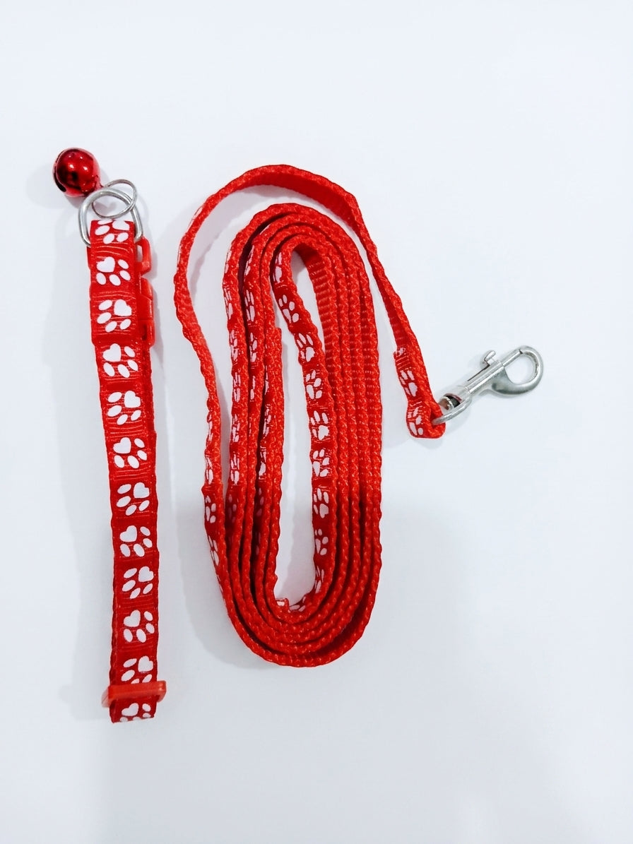 Teacup Collar & Leash