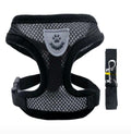 Harness & Leash