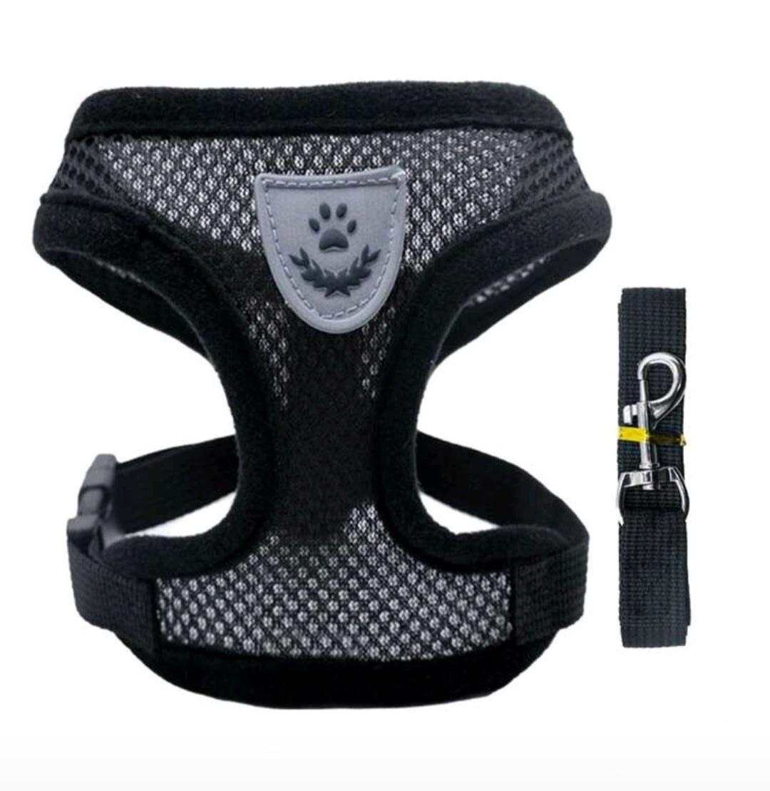 Harness & Leash