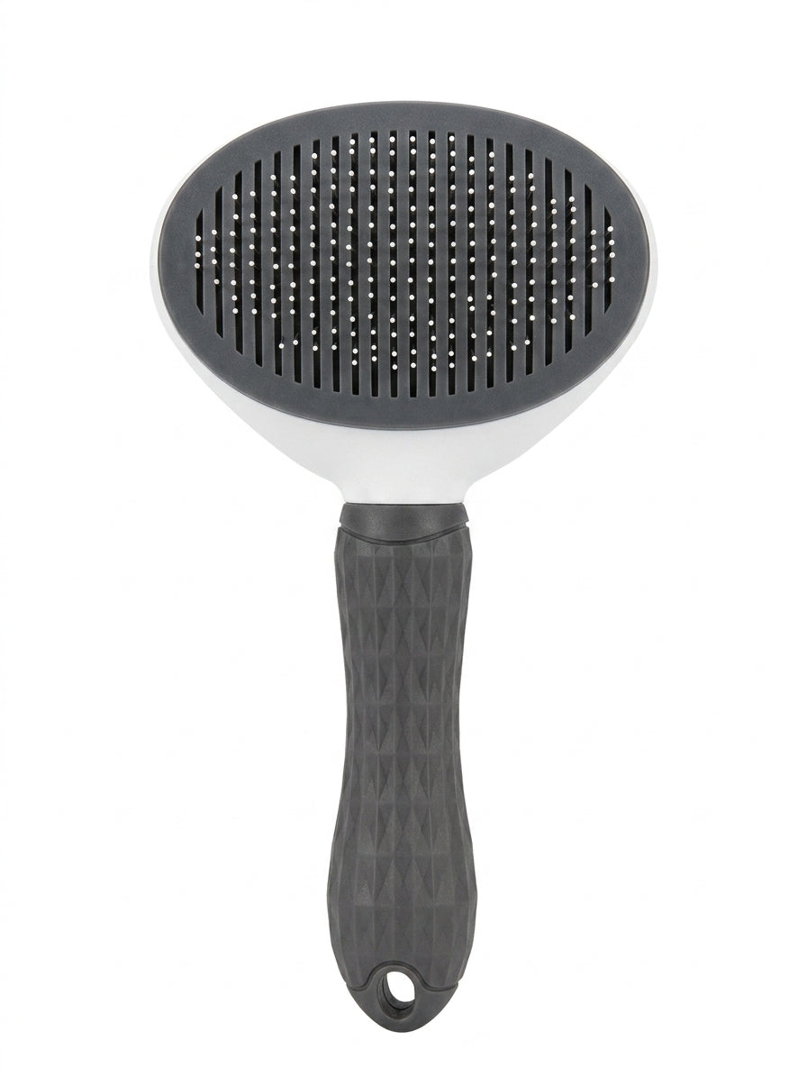 Brush