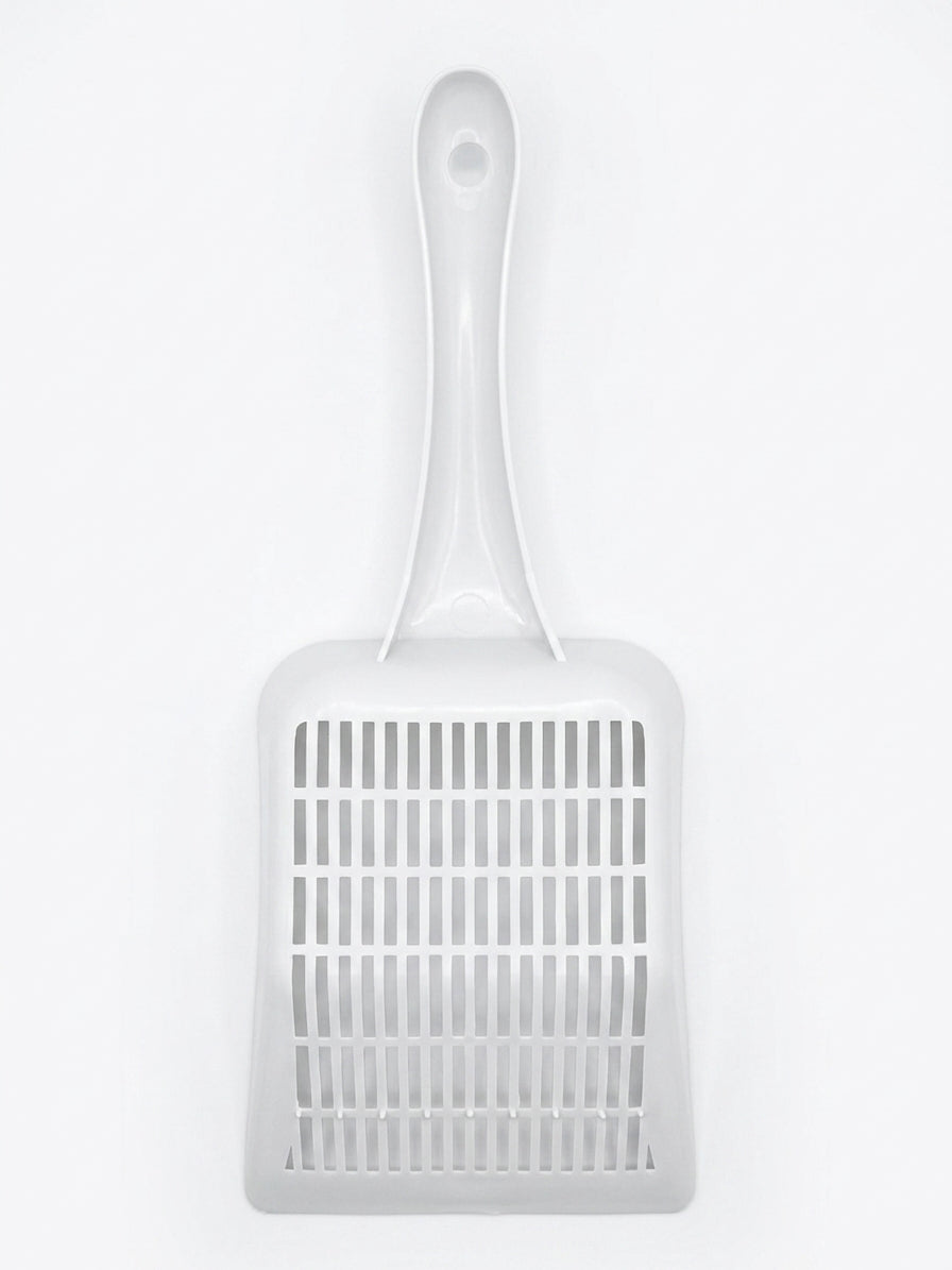 Cat littre scoop