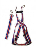 Xl Dog Harness & Leash