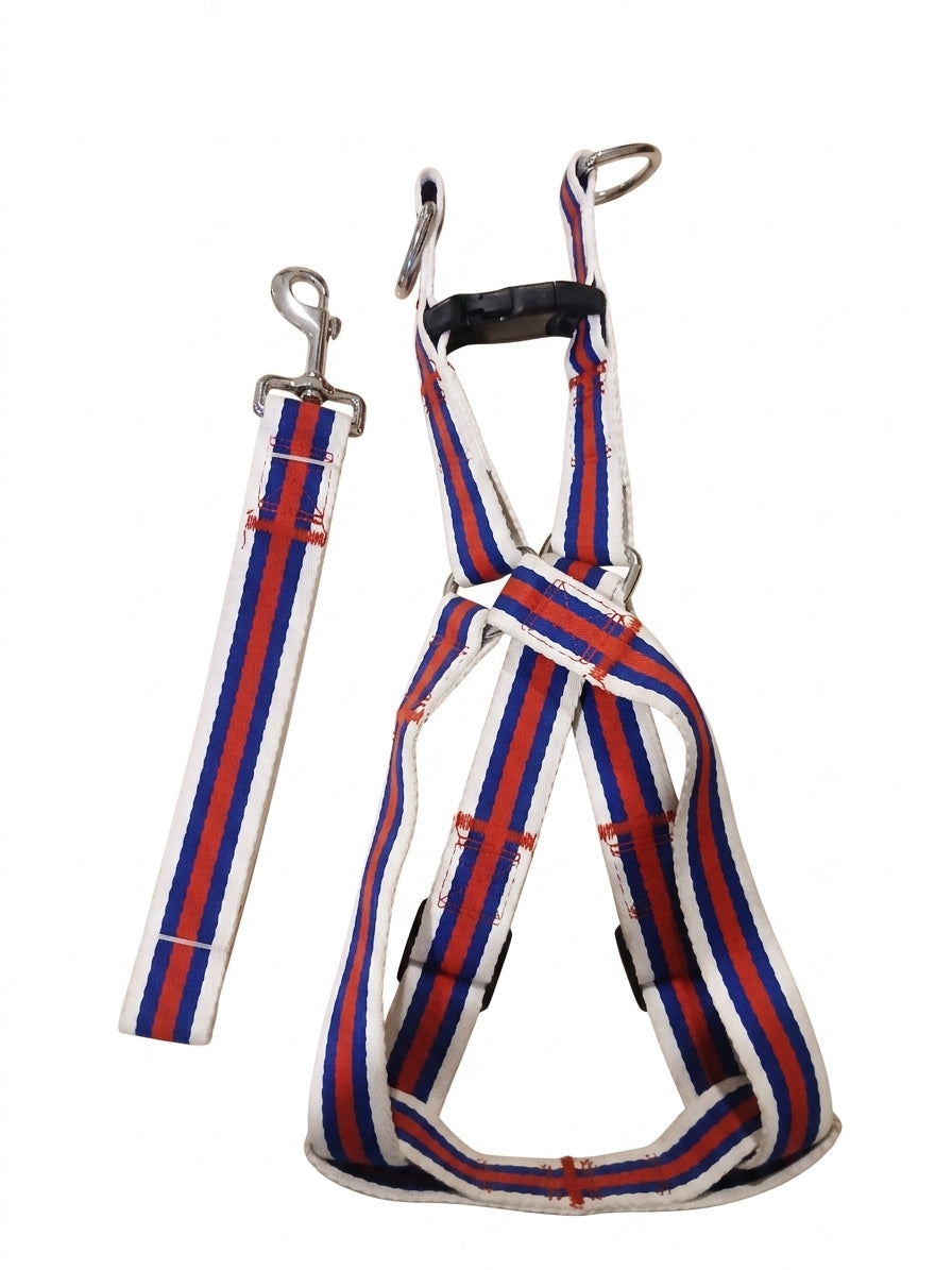Xl Dog Harness & Leash