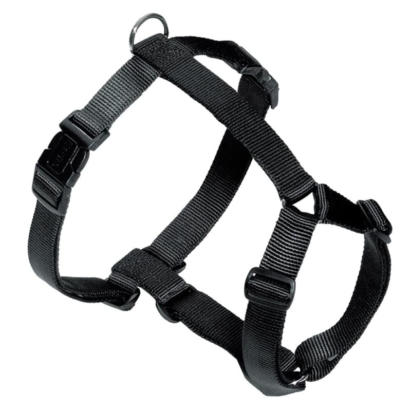 Trixie Harness & Leash Set